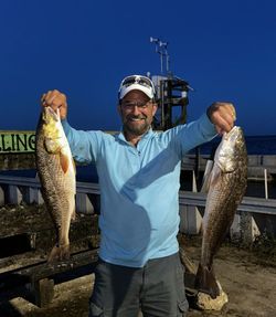 Two redfish caught in Corpus Christi, Texas