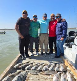 Successful black drum fishing trip in Corpus Christi TX with large catch displayed on boat deck