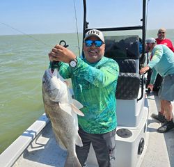 Black drum catch displayed on fishing boat in Corpus Christi TX waters