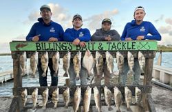 Fishing charter display showing 22 black drum and redfish catch from Corpus Christi TX