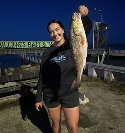 Large redfish catch displayed at fishing dock in Corpus Christi TX