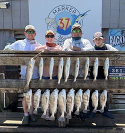 Successful fishing trip displaying caught redfish, speckled trout, and black drum at Corpus Christi TX marina