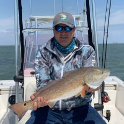 Redfish caught fishing in TX