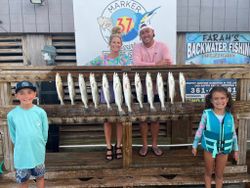 Spotted Weakfish caught in TX during fishing