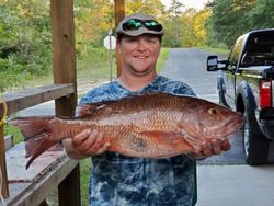 Panama's Finest Mutton Snapper 