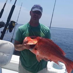 Red Grouper Delights In Panama City, FL