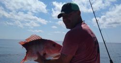 City Catch: Snapper