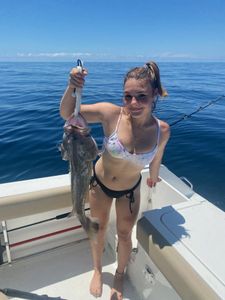 Grouper wonders in Panama City, FL