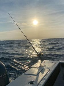Panama City Tranquil Waters