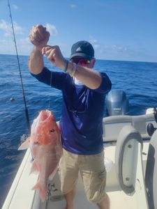 Reeling in Panama's Snapper