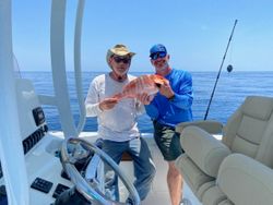 Snapper Wonders in Panama City, FL