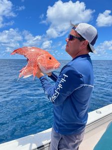Snapper Head Reeled in Florida waters