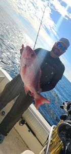 Panama City snapper delights