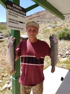 Two rainbow trout caught in Hurricane