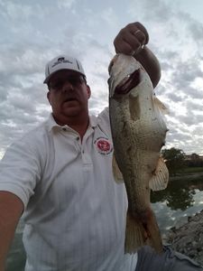 Largemouth Bass caught in Hurricane