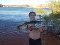 Largemouth Bass caught in UT