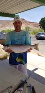 A huge rainbow trout caught while fishing in Hurricane