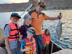 A single rainbow trout caught while fishing in Hurricane