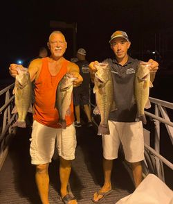 Two anglers posing with 4 smallmouth and largemouth bass at Osage Beach