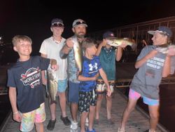 Three largemouth bass caught while fishing in Osage Beach