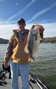 Angler fishing at Osage Beach