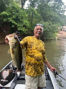 Largemouth Bass caught during fishing tour in Missouri