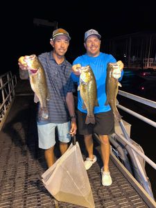 3 largemouth bass caught while fishing in MO