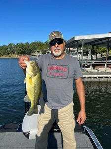 Largemouth Bass caught on fishing tour in MO