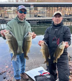 Four largemouth bass caught during a fishing tour in Osage Beach