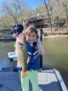Largemouth bass caught while fishing in MO