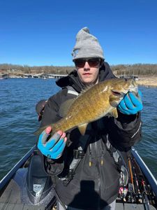 Smallmouth bass caught during fishing tour in Osage Beach