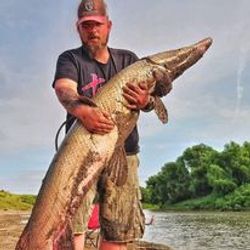 Catch the fever of Alligator Gar fishing