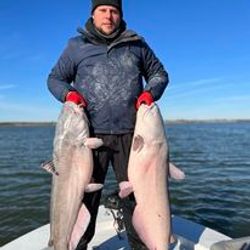 Angler with two channel catfish, Cayuga location