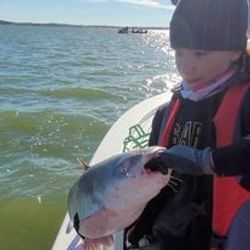 Best angling adventure in TX