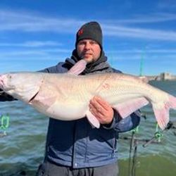 Angler fishing in Cayuga