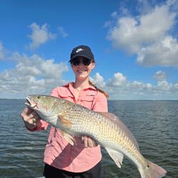 Redfish for days in the Texas flats.