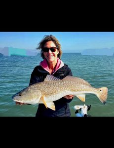 Seize the Red Drum at Port Aransas