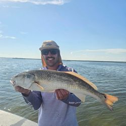 Battling reds in the Port Aransas backwaters!