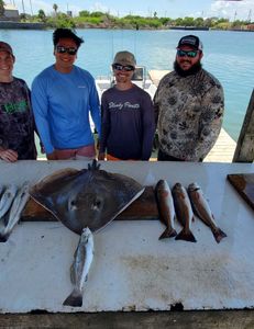 4 spotted weakfish and redfish caught in TX