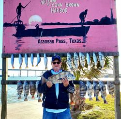 11 black drum and sheepshead fish caught in TX