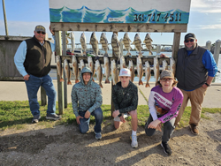 A single black drum fish caught in Port Aransas