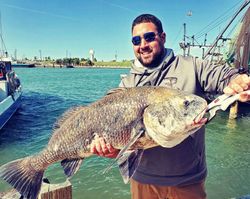 Fishing a 30-inch black drum in TX