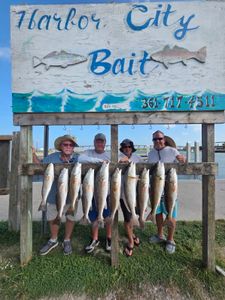 11 freshwater fish caught during a successful fishing and hunting trip in TX