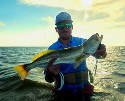 Angler holding a 27-inch fish in Port Aransas