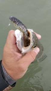 Fishing adventure at the stunning Port Aransas