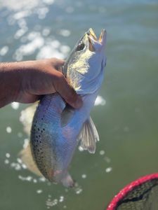 One person fishing in Port Aransas