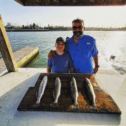 Five fish caught in Port Aransas while fishing and hunting