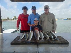 Five spotted weakfish caught while fishing in TX