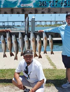 9 redfish and spotted weakfish caught in TX