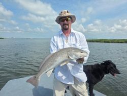 Angler holding a large redfish in TX